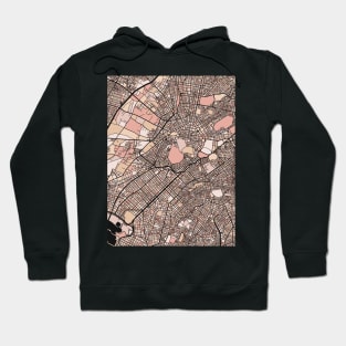 Athens Map Pattern in Soft Pink Pastels Hoodie